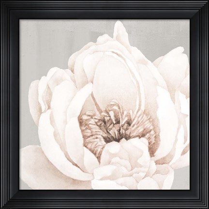 Framed Neutral Peony 1 Print