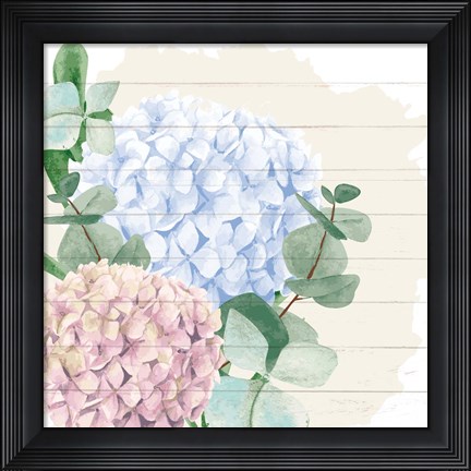 Framed Hydrangea 1 Print