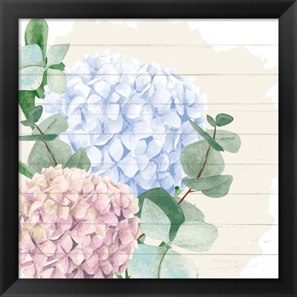 Framed Hydrangea 1 Print