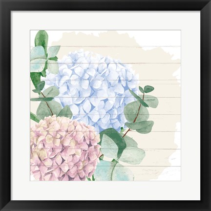 Framed Hydrangea 1 Print