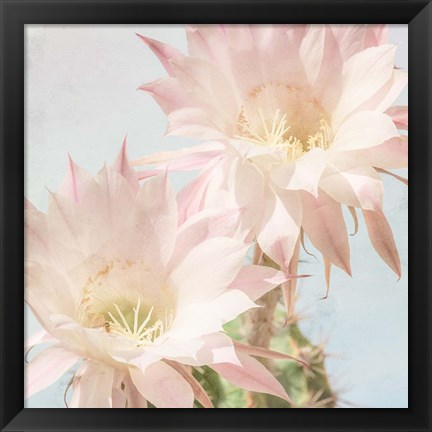 Framed Cactus Bloom Print