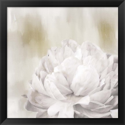 Framed Hidden Print