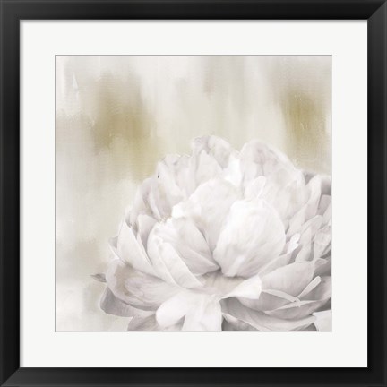 Framed Hidden Print