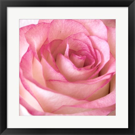 Framed Strength Rose 2 Print