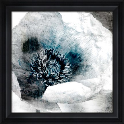 Framed Poppy Center Print