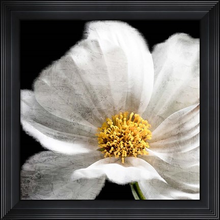 Framed Yellow Center Print