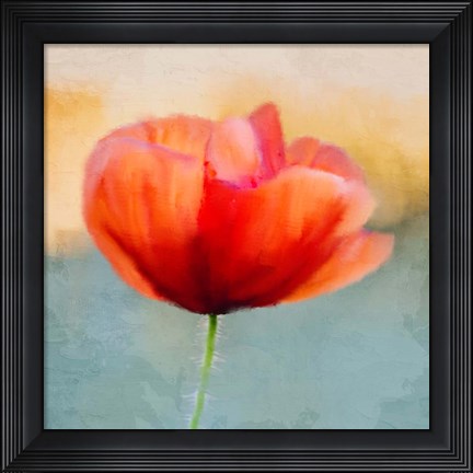 Framed Poppy Sunrise Print