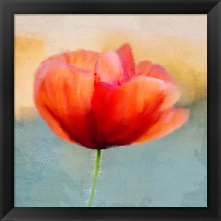 Framed Poppy Sunrise Print