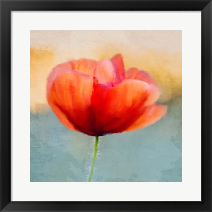 Framed Poppy Sunrise Print