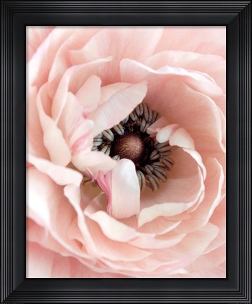 Framed Pretty in Pink Floral Print