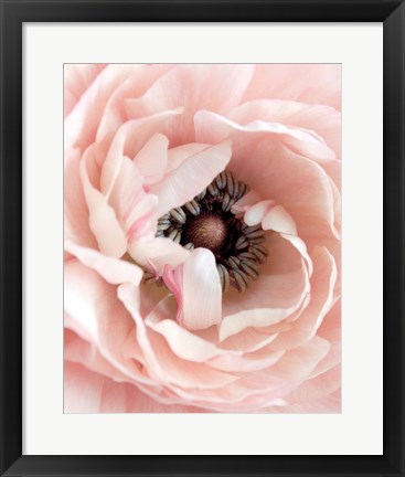 Framed Pretty in Pink Floral Print