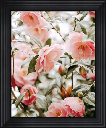 Framed Moody Pink FLorals Print