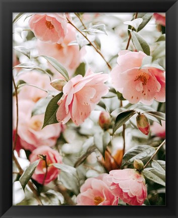 Framed Moody Pink FLorals Print