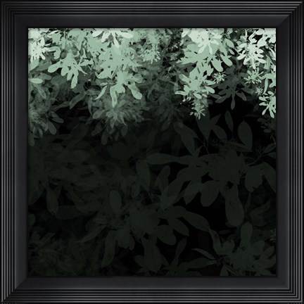 Framed Dark Tropical I Print