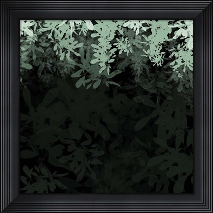 Framed Dark Tropical II Print