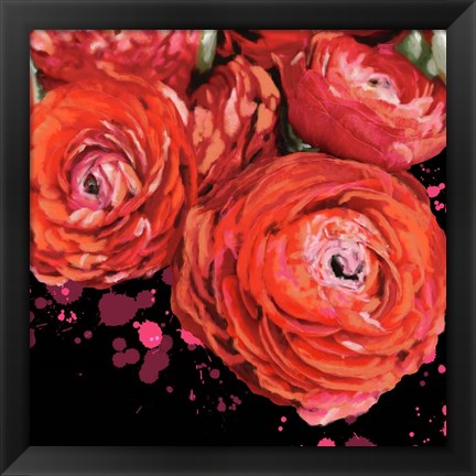 Framed Fiery Ranunculus Print