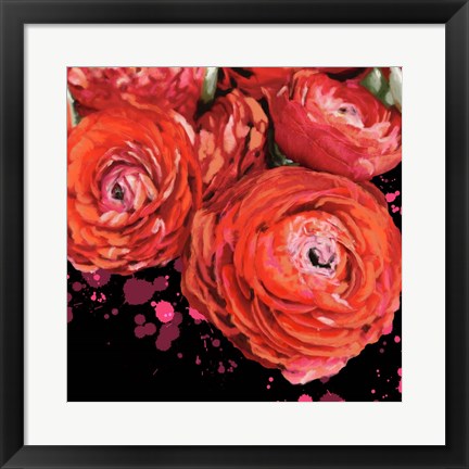 Framed Fiery Ranunculus Print