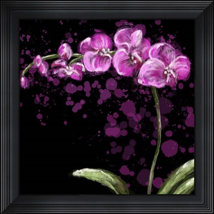 Framed Fuschia Orchid Print