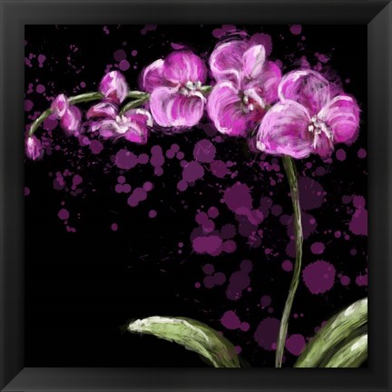Framed Fuschia Orchid Print