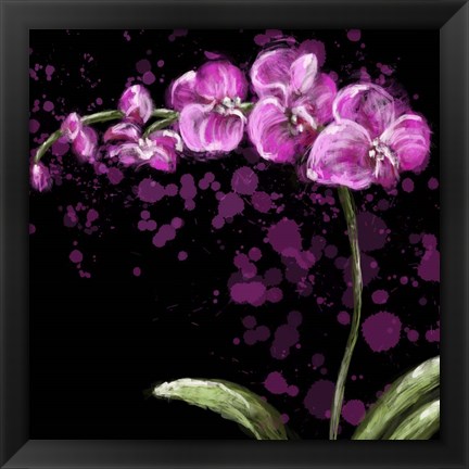 Framed Fuschia Orchid Print