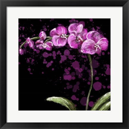 Framed Fuschia Orchid Print