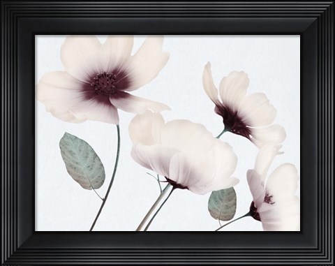 Framed Blooming Youth 1 Print