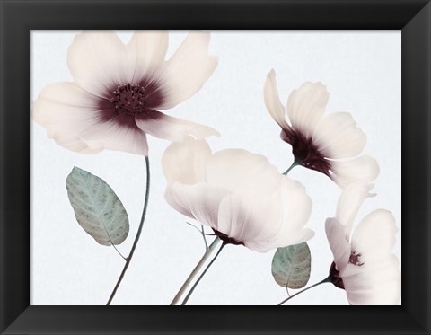 Framed Blooming Youth 1 Print