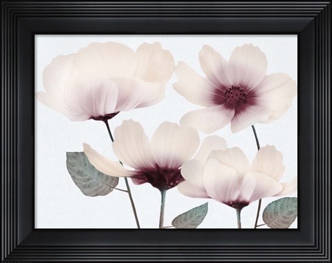 Framed Blooming Youth 2 Print