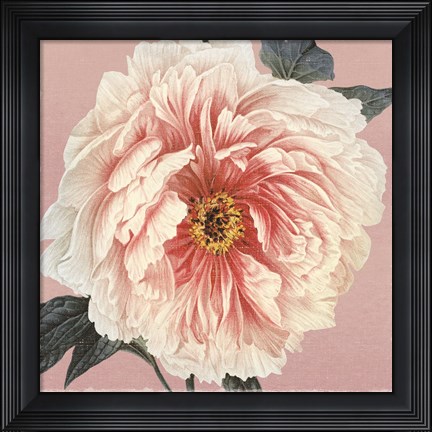 Framed Spring Eden Peony Print