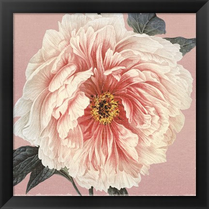 Framed Spring Eden Peony Print