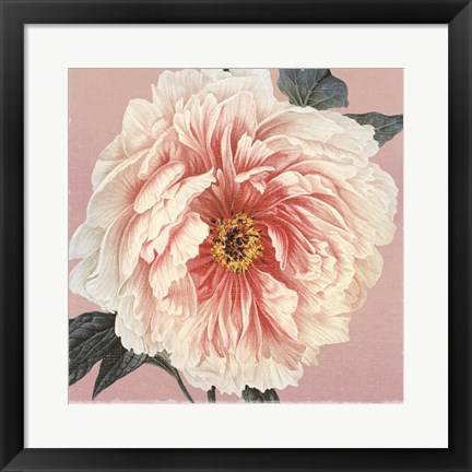 Framed Spring Eden Peony Print