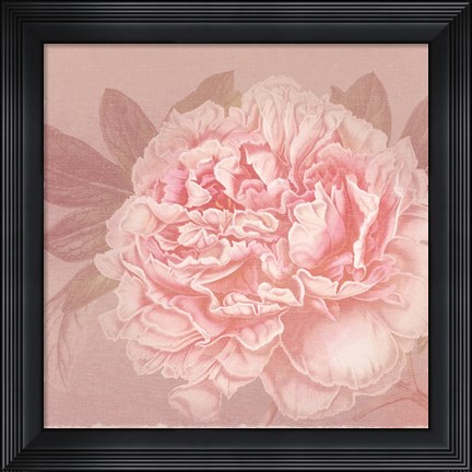Framed Spring Eden Peony 2 Print