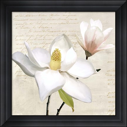 Framed Ivory Magnolia I Print
