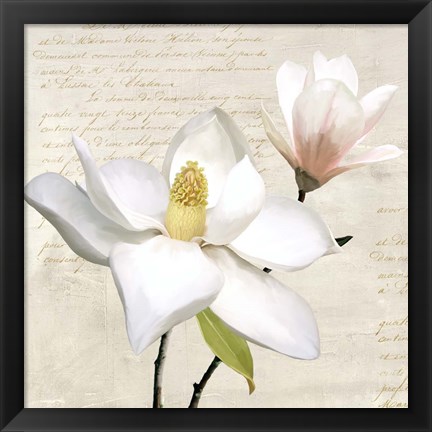 Framed Ivory Magnolia I Print