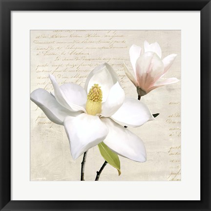 Framed Ivory Magnolia I Print