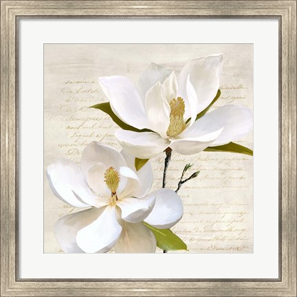 Framed Ivory Magnolia II Print