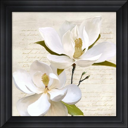 Framed Ivory Magnolia II Print