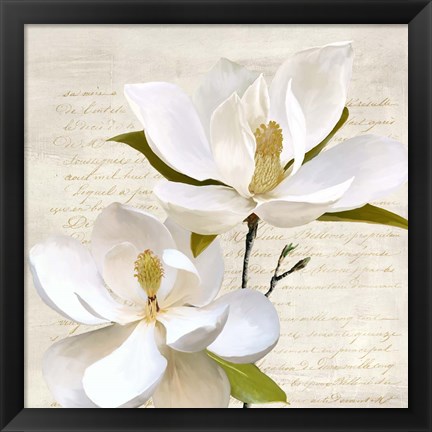 Framed Ivory Magnolia II Print