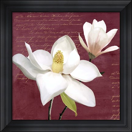 Framed Burgundy Magnolia I Print