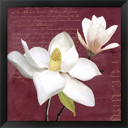 Framed Burgundy Magnolia I Print