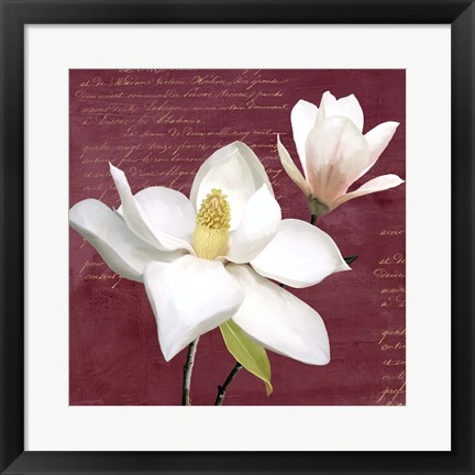 Framed Burgundy Magnolia I Print