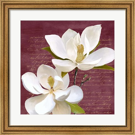 Framed Burgundy Magnolia II Print