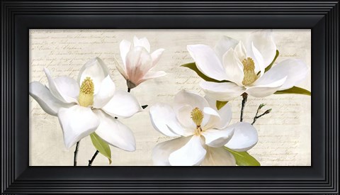 Framed Ivory Magnolia Print