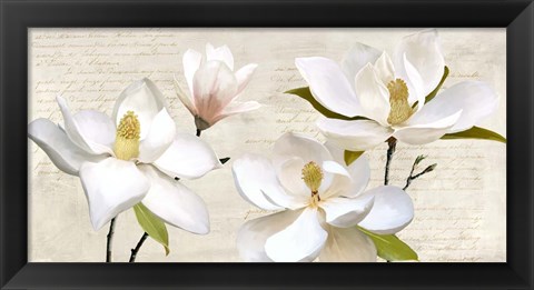 Framed Ivory Magnolia Print