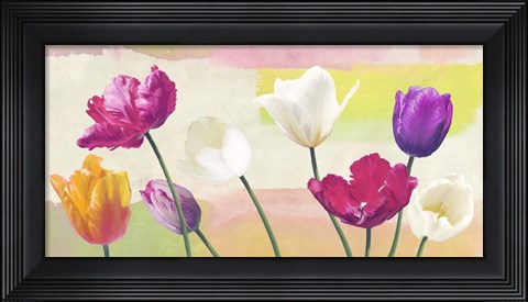 Framed Florilegium Print