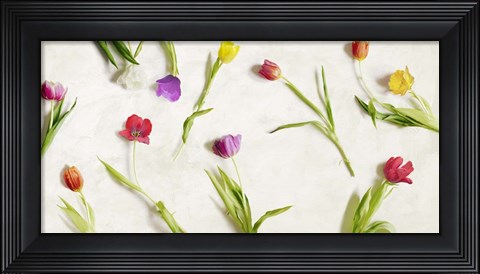 Framed Cut Tulips Print