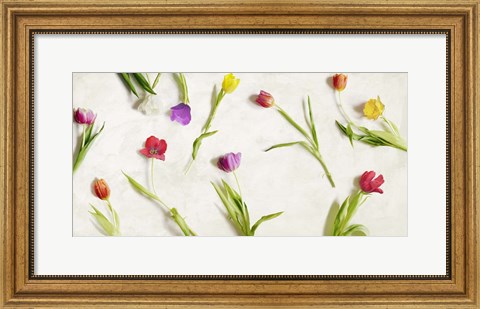 Framed Cut Tulips Print