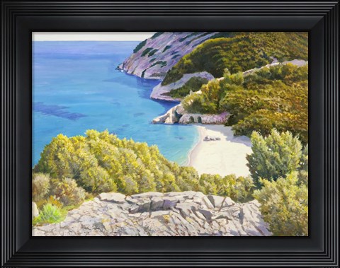Framed Caletta assolata Print