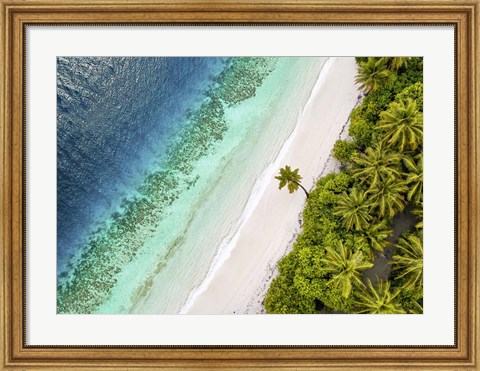 Framed Tropical Beach, Aerial View Print