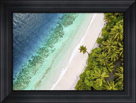 Framed Tropical Beach, Aerial View Print